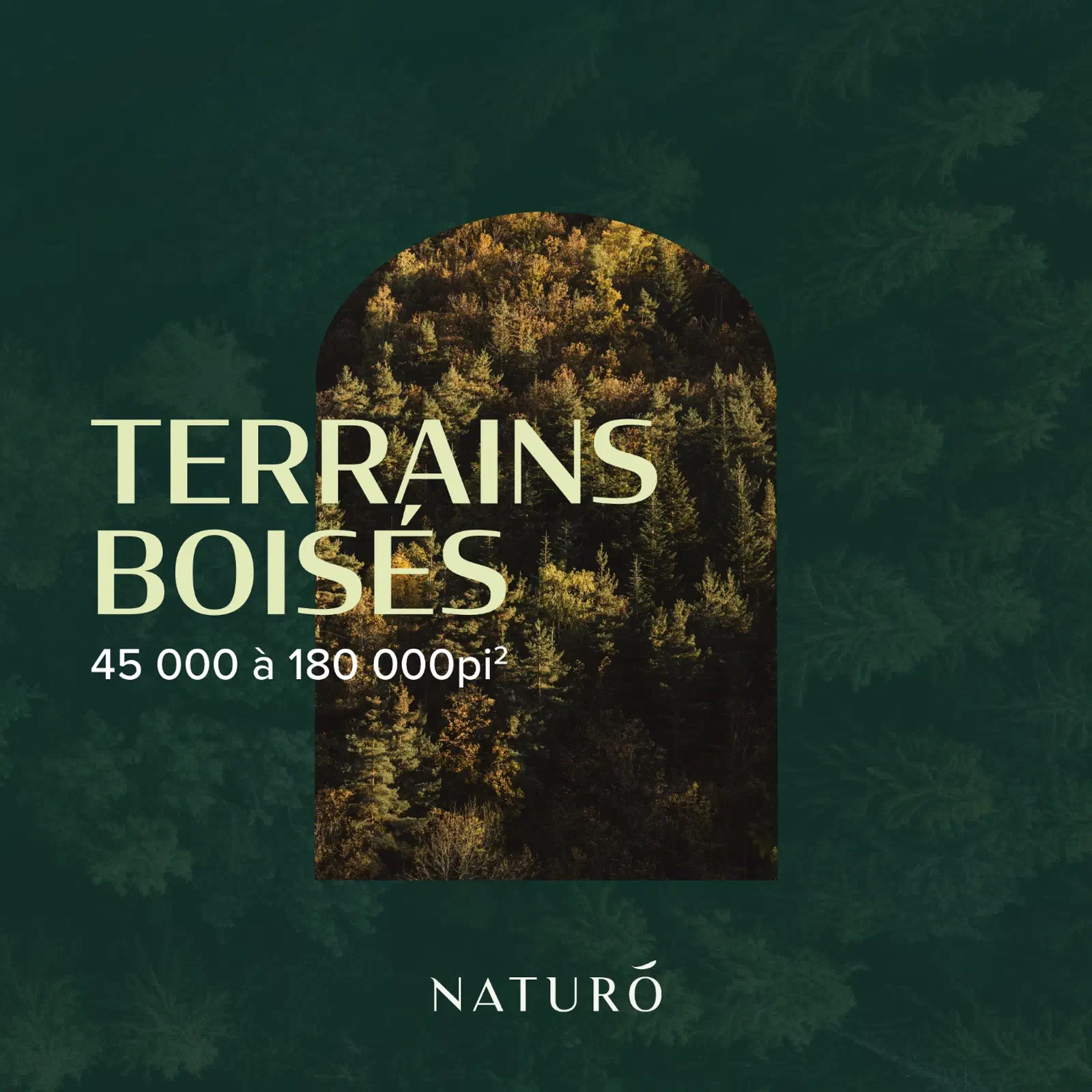 BOLÉAN Branding image